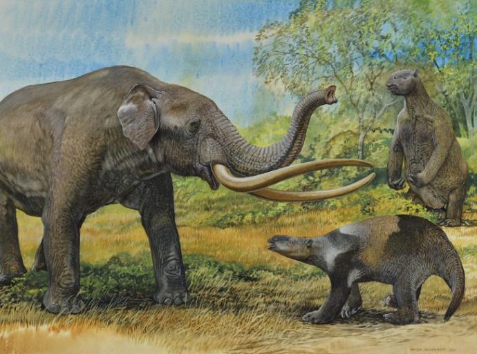 What Ice age continent would you most like to see?