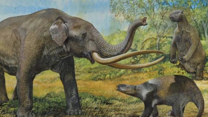 What Ice age continent would you most like to see?