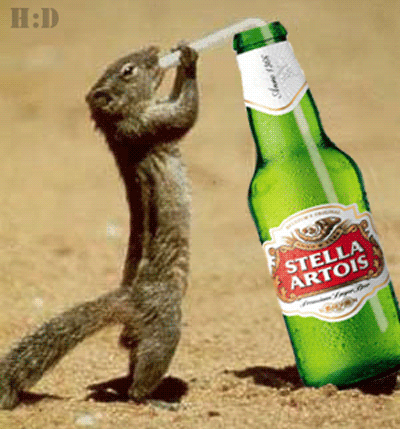 Which do you prefer: Beer or Liquor?