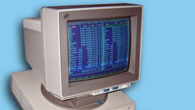 What was the first Computer you remember using a lot?