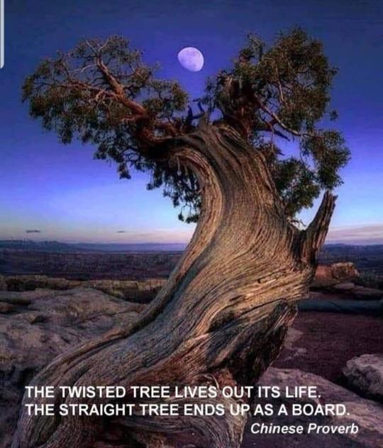 What do you think of this proverb? What does it mean to you?