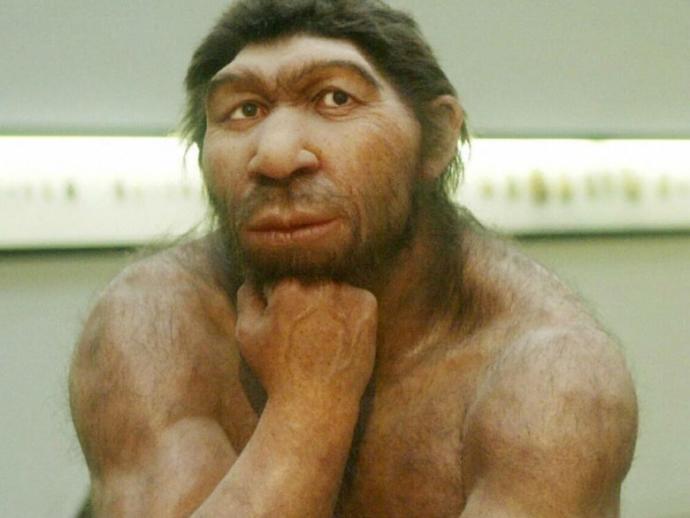 What do you think that the most likely explanation for the sasquatch sightings are?