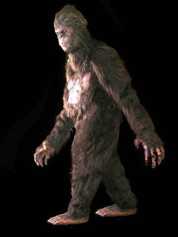 What do you think that the most likely explanation for the sasquatch sightings are?