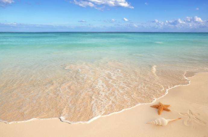 Snow or sun holiday?
