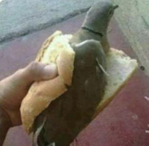 You are enjoying a sandwich, but suddenly a pigeon. What do you do?