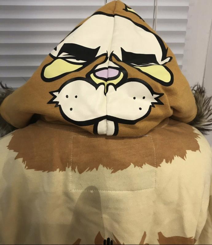 Do you like this lion hoodie?