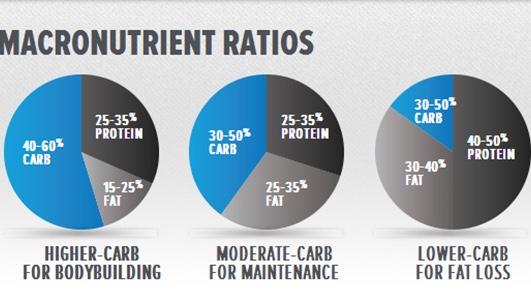 Which macronutrient ratios work best for losing belly fat?