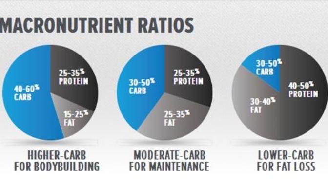 Which macronutrient ratios work best for losing belly fat?