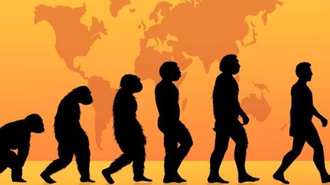 Where do you stand on creation VS. evolution, and origins?
