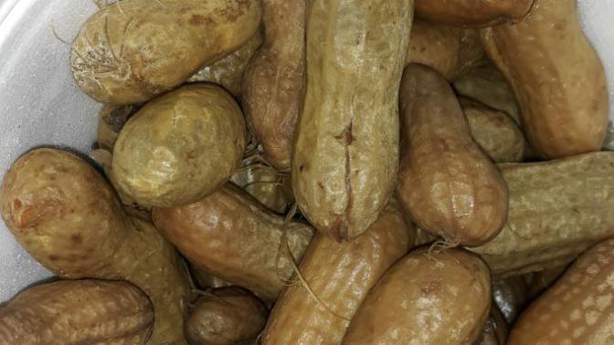 Have you ever tried Boiled Peanuts?
