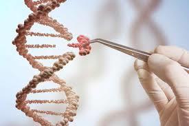 What About Eugenics and Genetic Engineering?
