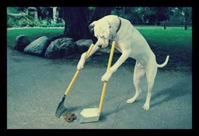 What's the responsibility you wish you didn't have?