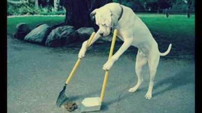 What's the responsibility you wish you didn't have?