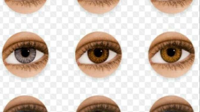 Are colour contact lenses attractive?