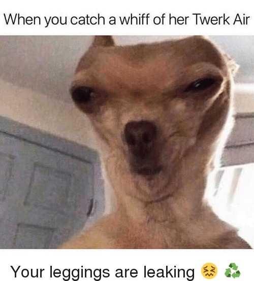 Do you know how to twerk??