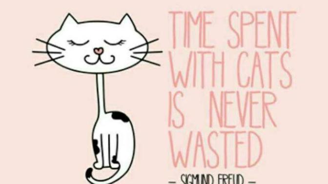 What is your favorite quote?
