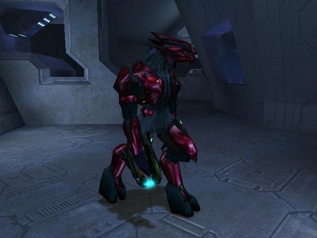 CE elite major