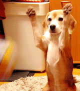 When do you start getting ready for swimsuit season?