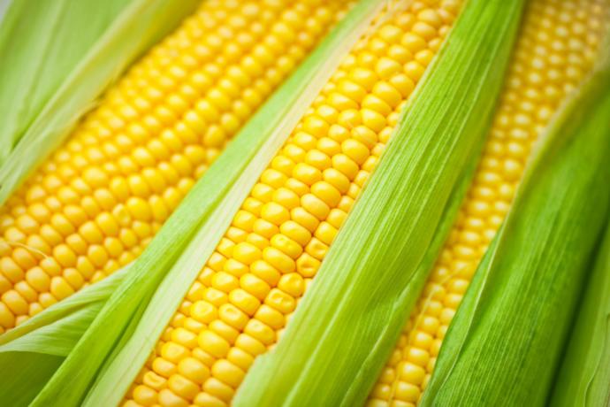 What's your favorite kind of grain?
