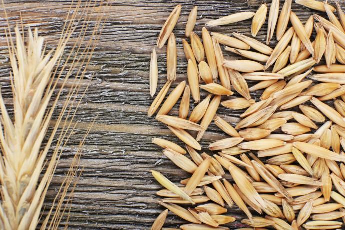 What's your favorite kind of grain?