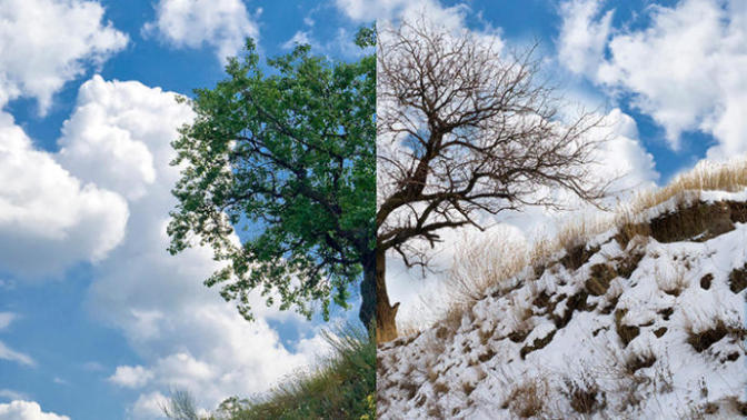 Would you rather live in cold or hot weather?