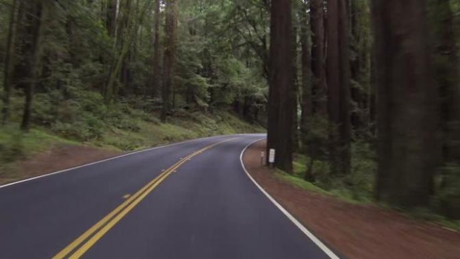 Has anything weird happened during a road trip?