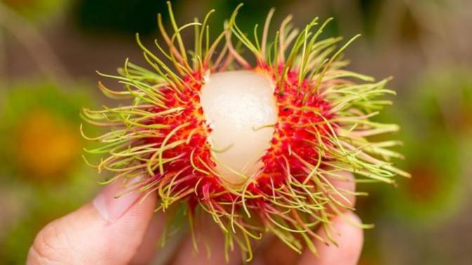 What's the most exotic thing you've ever eaten?