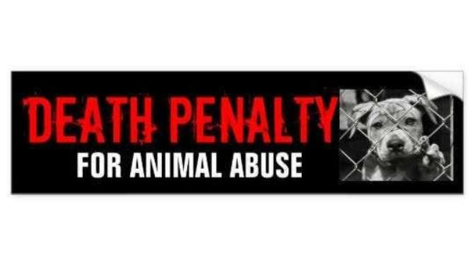 Should we use death penalty or life sentence for animal abuse?