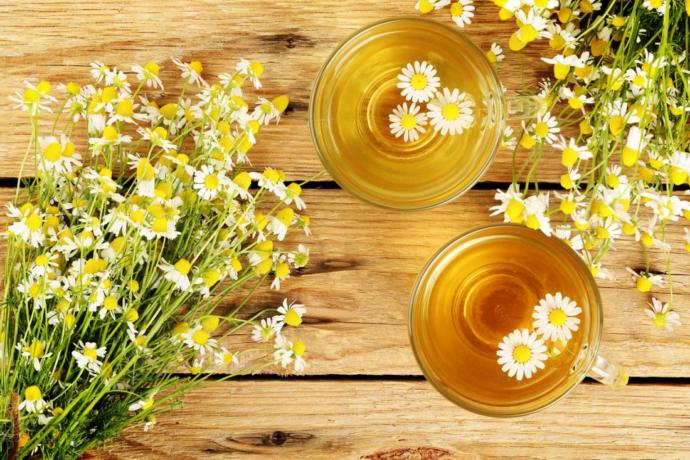Do you like chamomile tea?