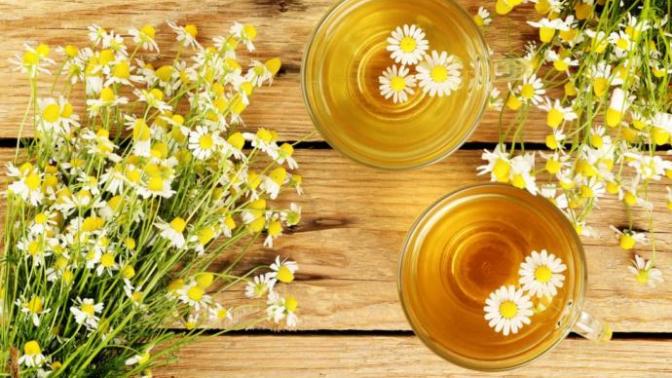 Do you like chamomile tea?