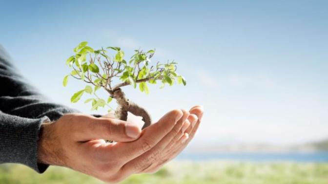 How are you living more eco-friendly/ more sustainable?