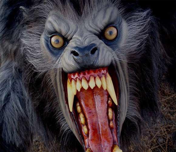 Ladies! Would you ever date a guy who turn into a ware wolf?