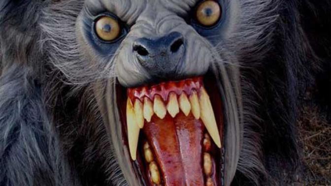 Ladies! Would you ever date a guy who turn into a ware wolf?