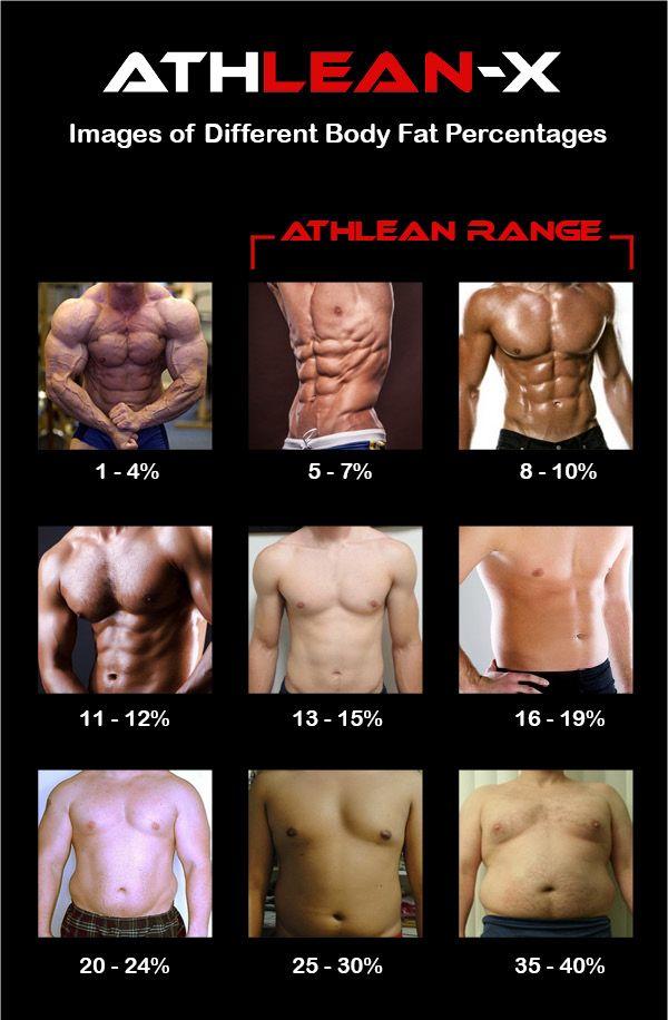 What is your body fat percentage?