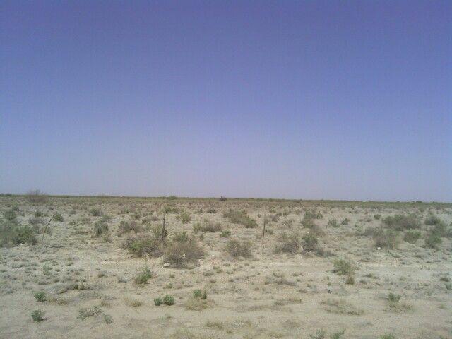 Would you rather have it ok but live in a beautiful State or have it good but live in an ugly State??