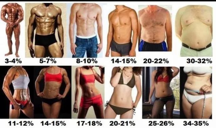 Which of these snapshots of bodies do you think is Sexiest?