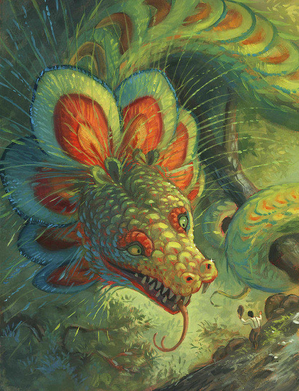 What's you favorite kind of dragon?
