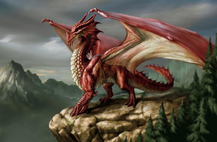 What's you favorite kind of dragon?