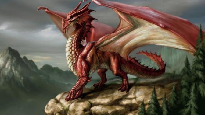 What's you favorite kind of dragon?