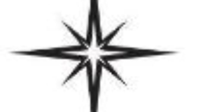 What do you call this kind of star shape?