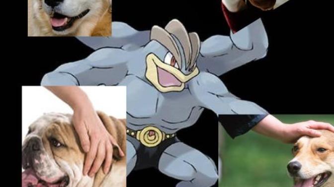 Would you rather have two extra arms or two extra legs (think of a cenataur but with feet instead of hooves)?