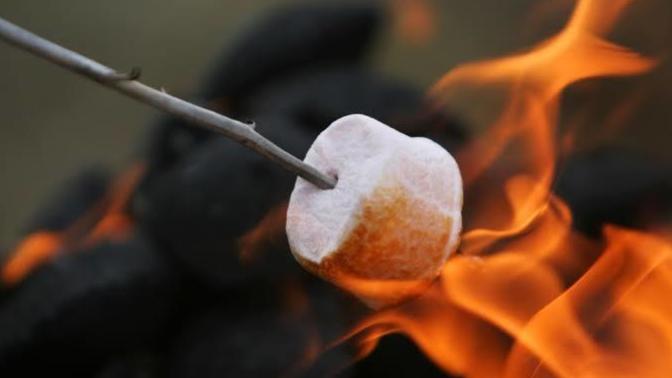 Do you like toasted marshmallows?