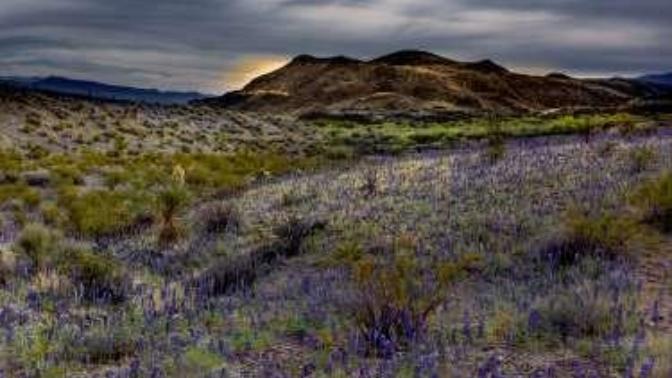 Would you want to visit Big Bend National Park? Camping or swimming in the hot springs?