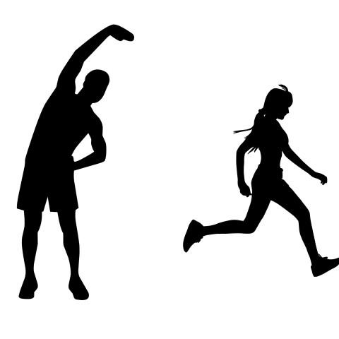 Do you find the attractiveness of the face or the attractiveness of the body to be more important in a partner?