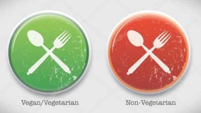 Are you vegan, vegetarian or non vegetarian?, which is your favorite food?