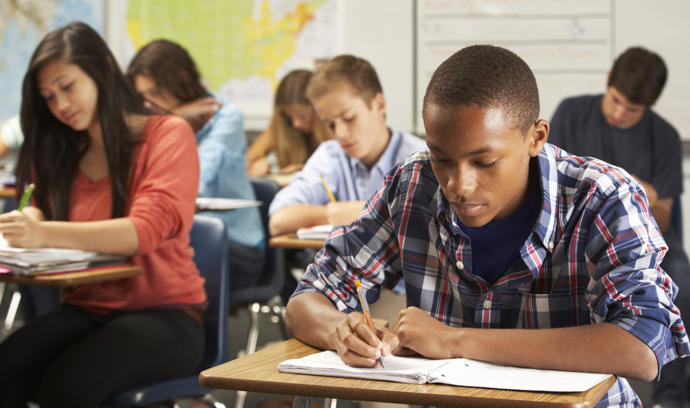 Is it important to be taught essays, poem analyses, etc. in school?