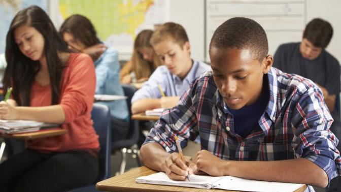 Is it important to be taught essays, poem analyses, etc. in school?