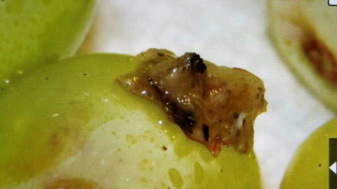 Can anyone identify this?
