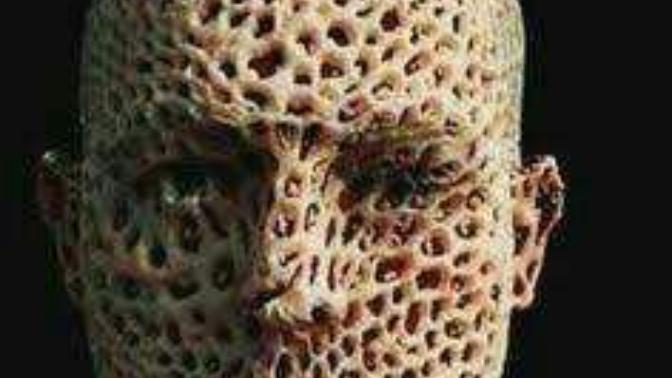 Guys do you have Trypophobia?