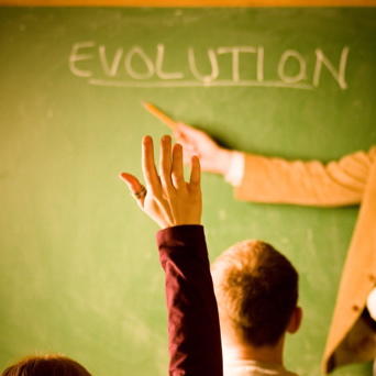 Did Whales Evolve From Land To Sea, From Sea to Land, Both, or is It a Hoax?
